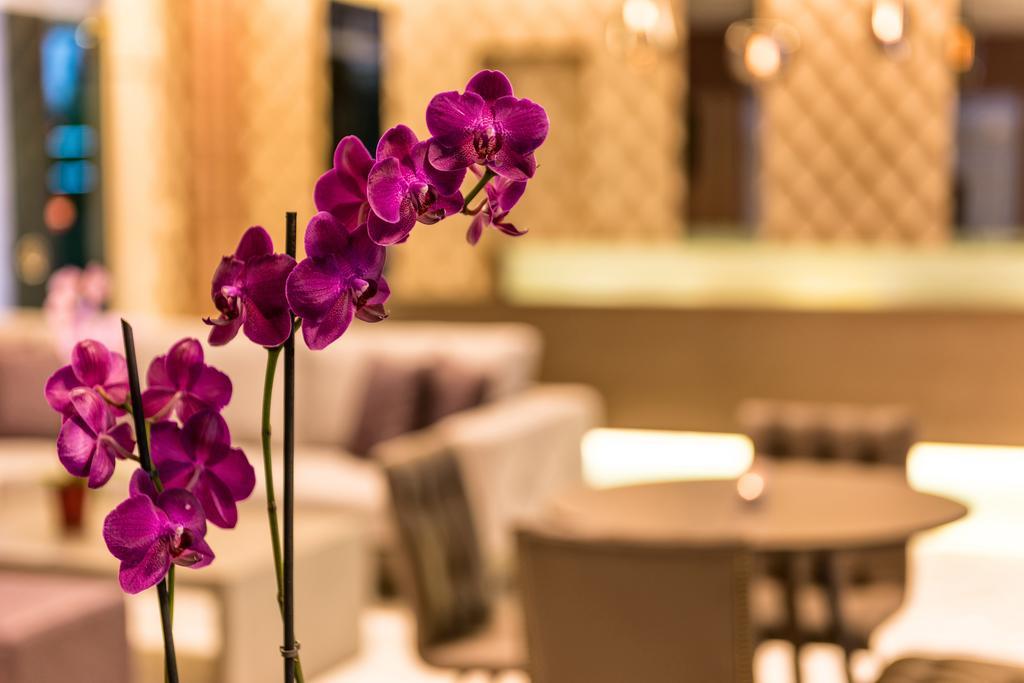 Ariadne Hotel プラタネス エクステリア 写真